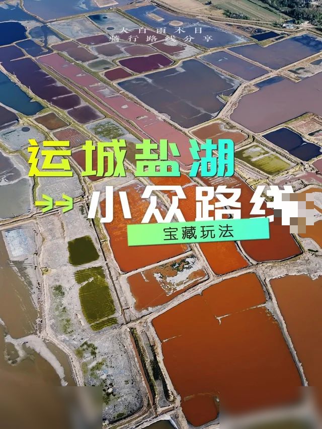 看硝花、赏天鹅-运城盐池的小众路线