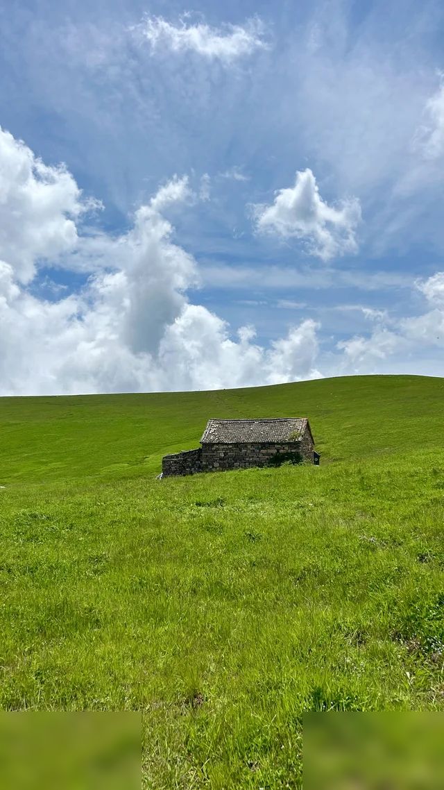郑州出发徒步最美高山草甸｜历山舜王坪✨