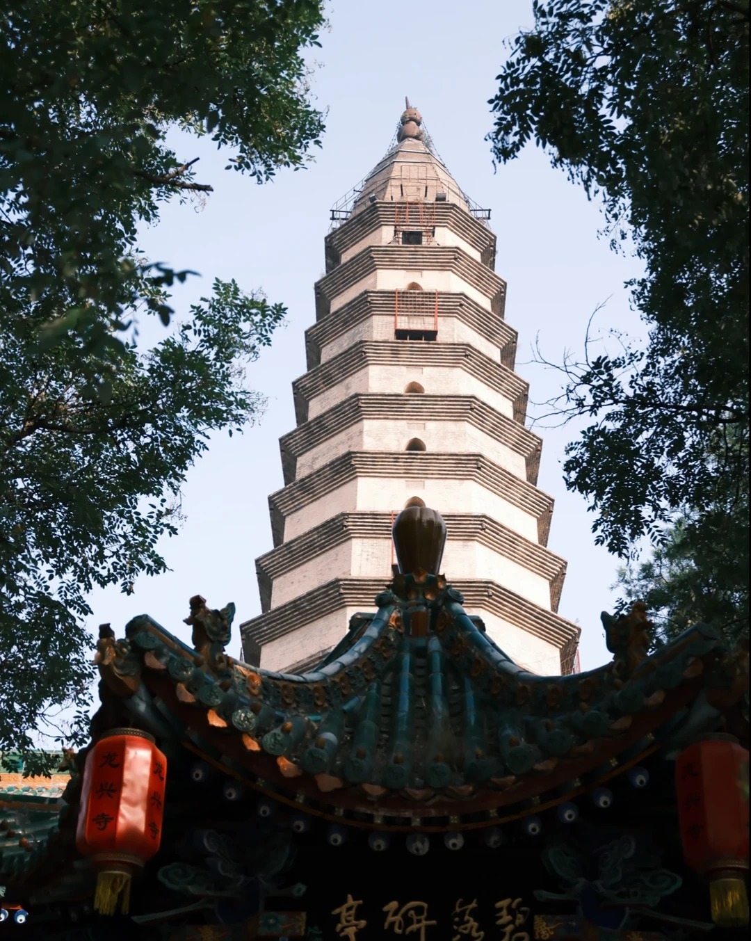 龙兴寺 样张 7