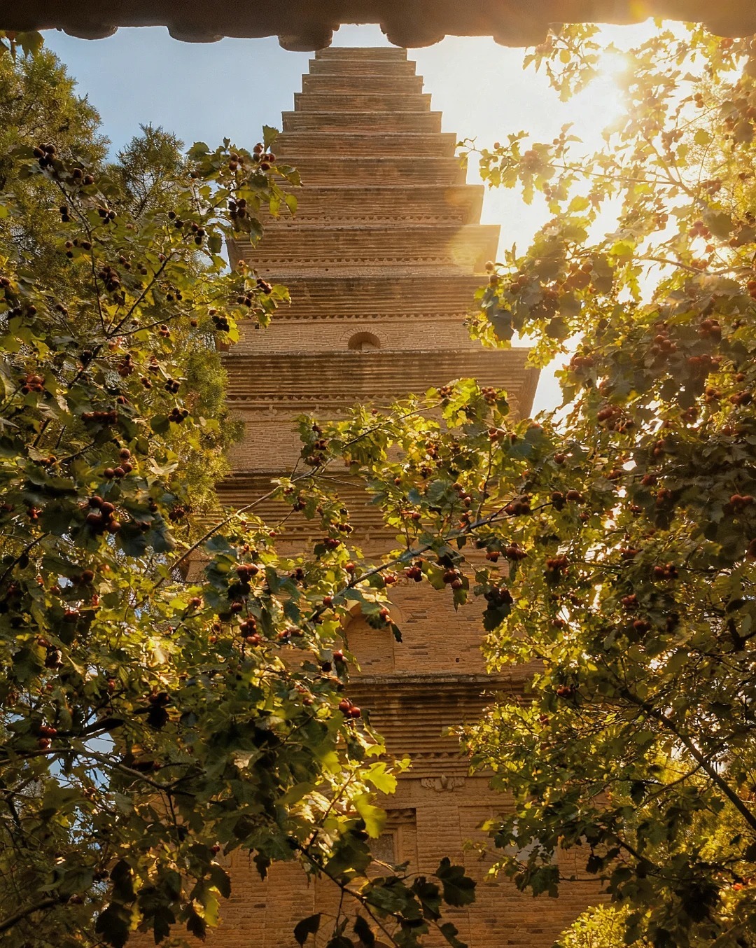 普救寺 样张 4