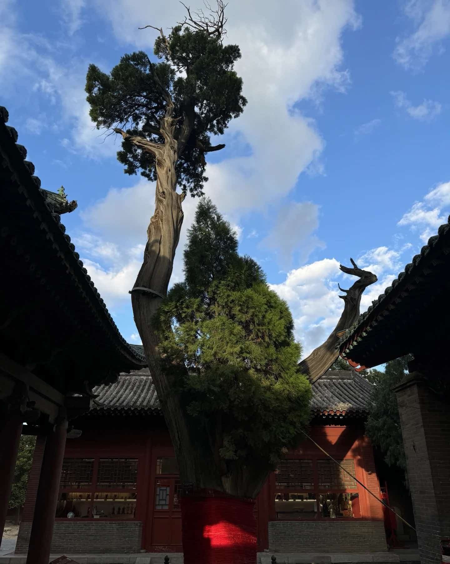 常平关帝家庙 样张 5