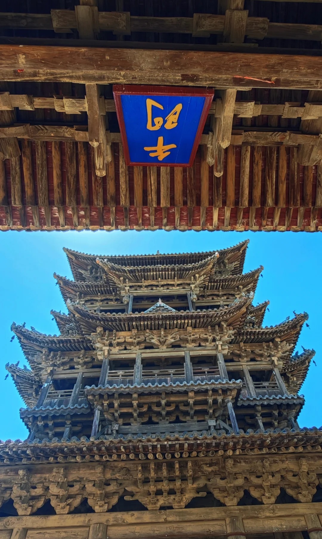 飞云楼 样张 5