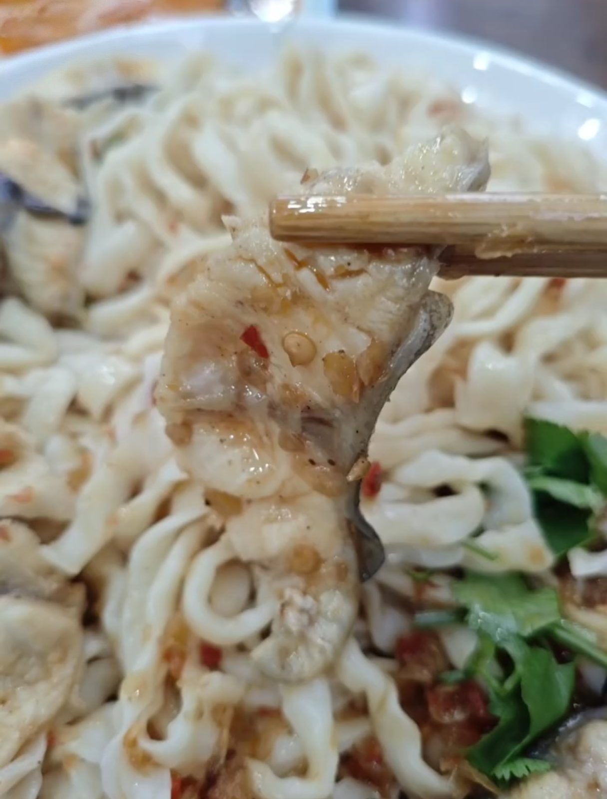 鱼加面·半碗鱼面 样张 2