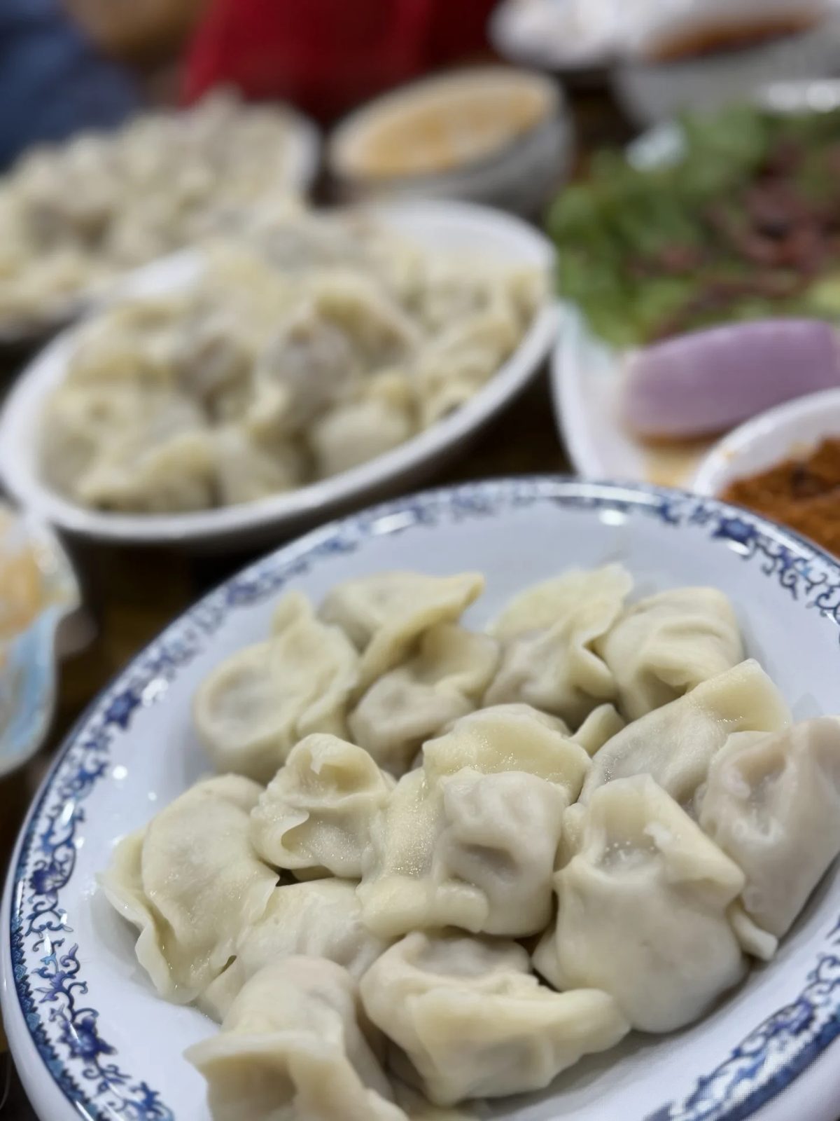 永济牛肉饺子 样张 5
