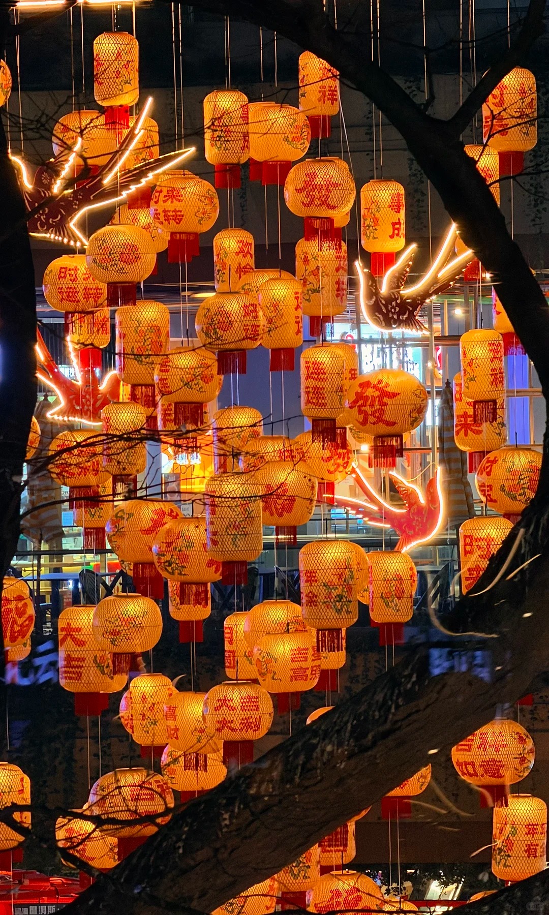 绛州灯笼扎制店 样张 3