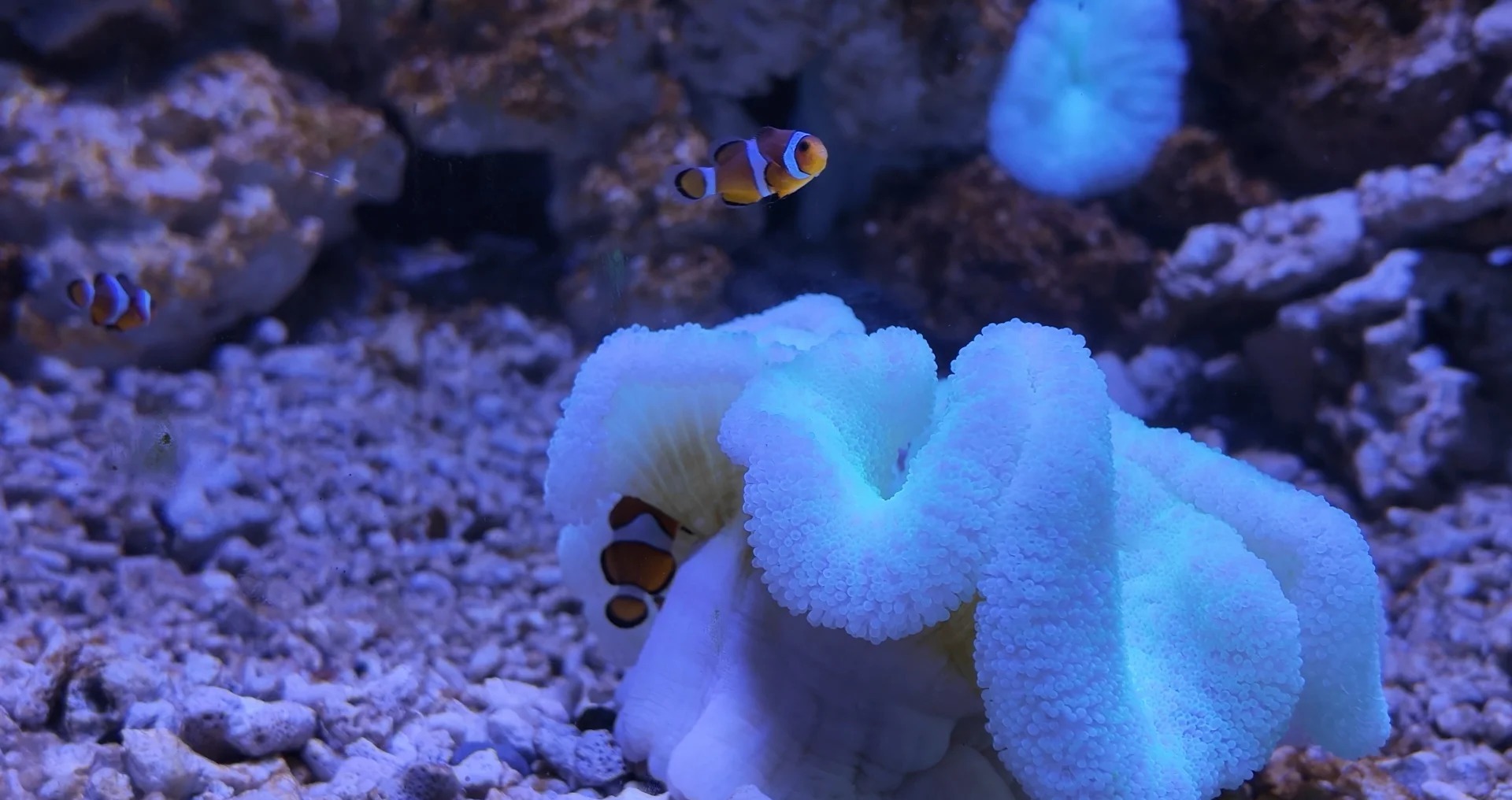 运城海洋馆·海底隧道 样张 9