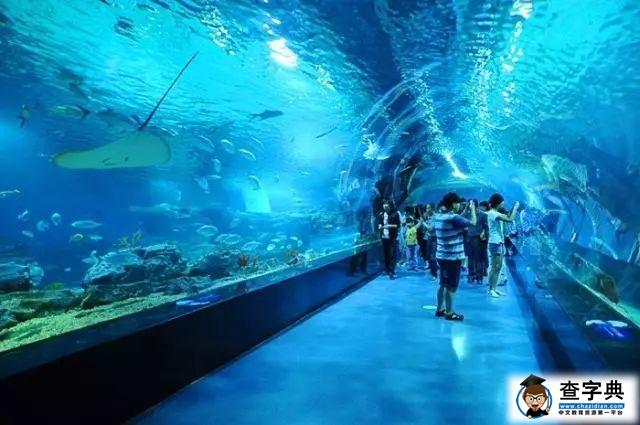 运城海洋馆·海底隧道