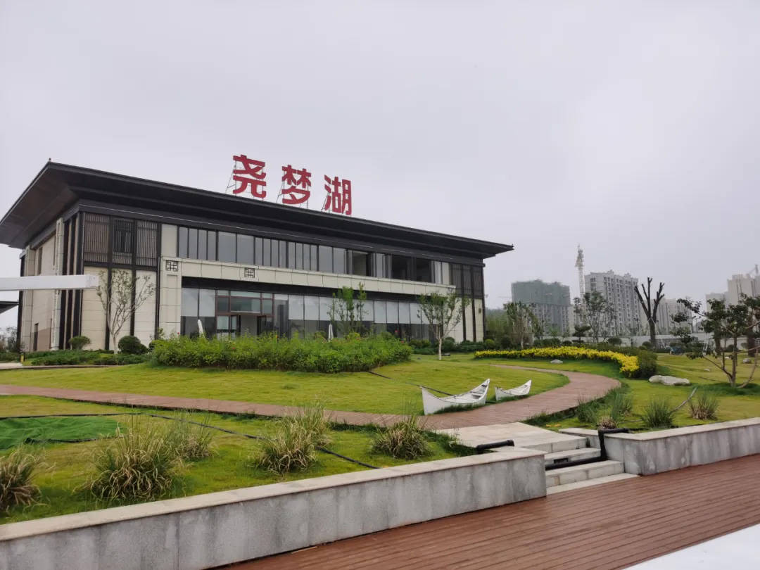 东湖湾公园·芦苇荡